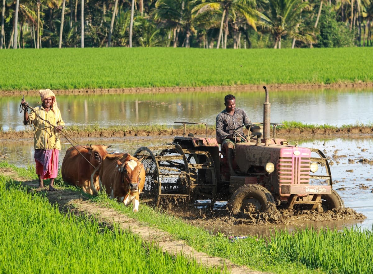 AI Solutions Reshaping Agriculture in East Africa